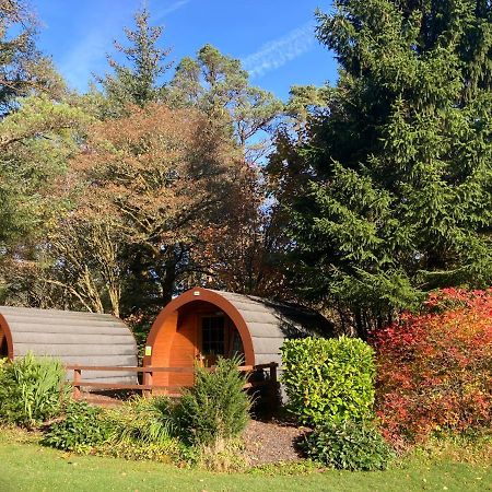 Glamping Hut - By The Way Campsite Tyndrum Ngoại thất bức ảnh