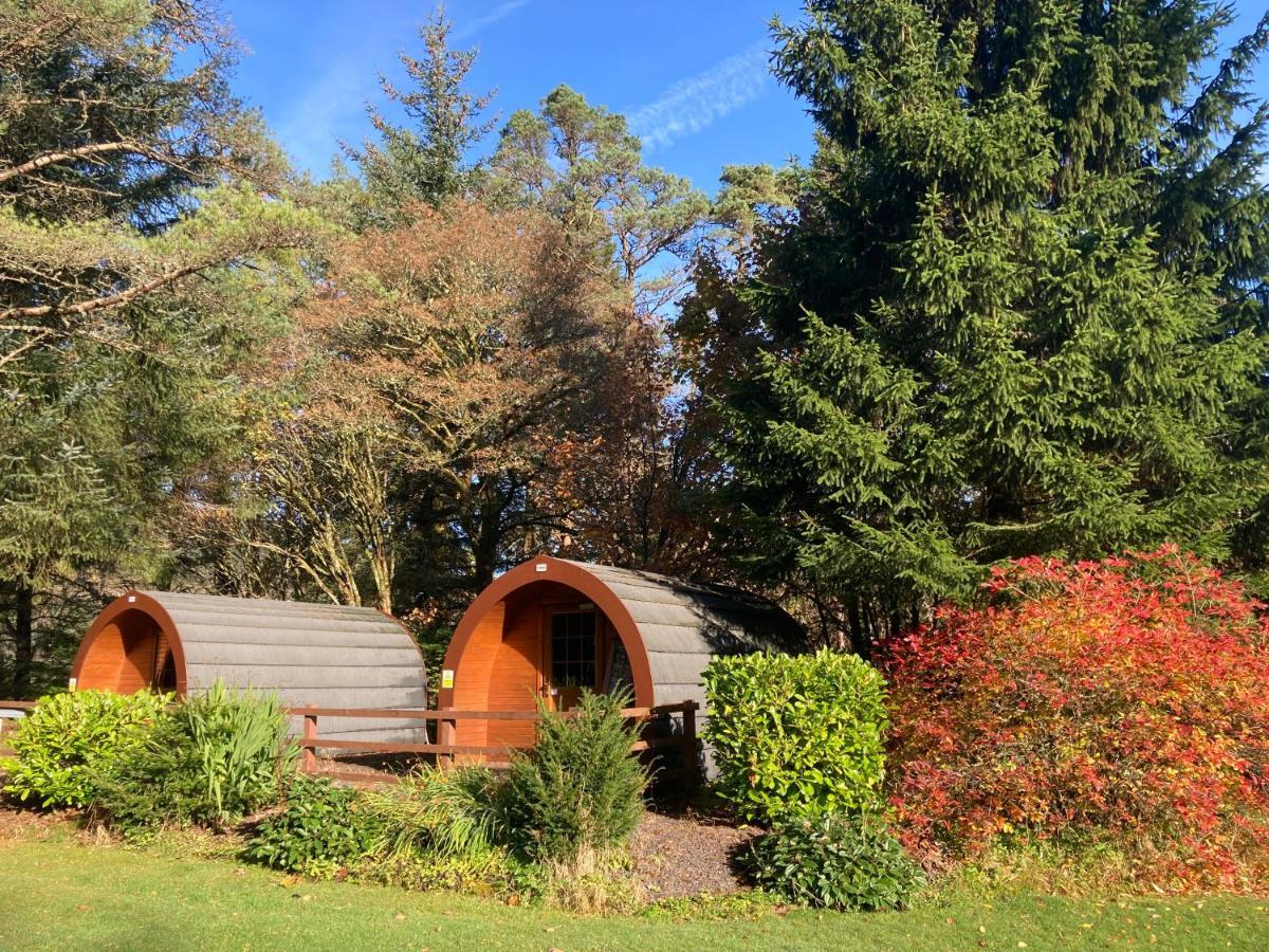 Glamping Hut - By The Way Campsite Tyndrum Ngoại thất bức ảnh